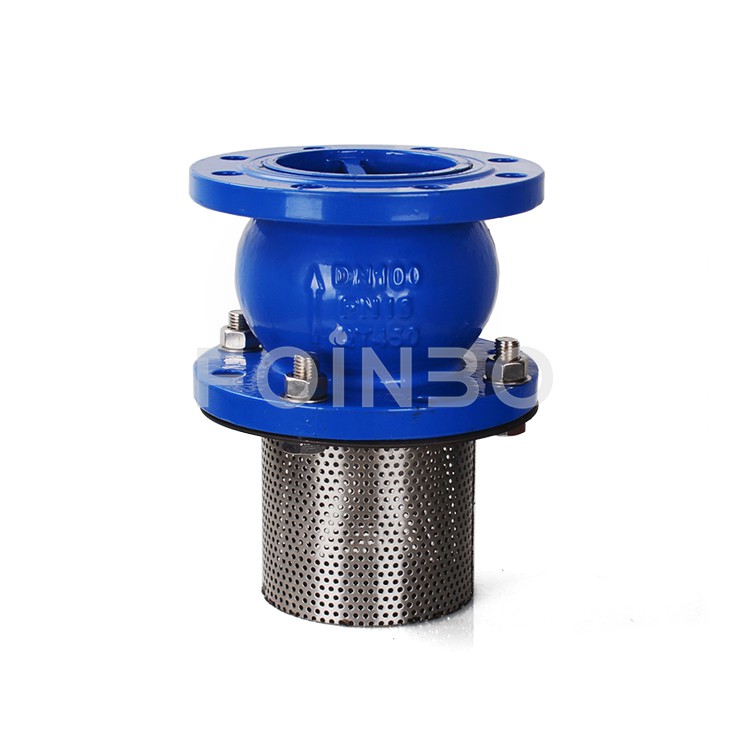 Non Return Foot Valve